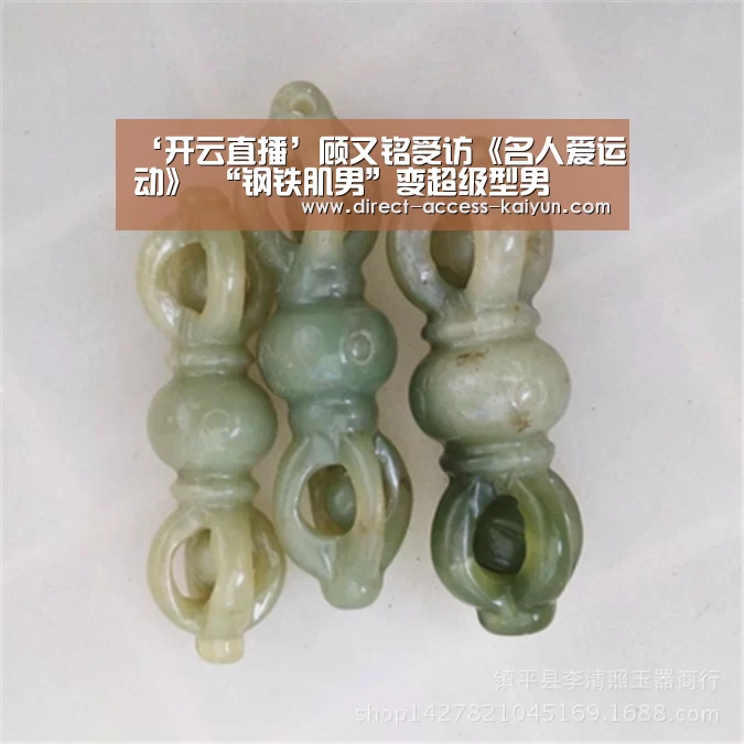 开云体育高清直播