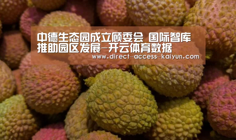 中德生态园成立顾委会 国际智库推助园区发展-开云体育数据(图2) 开云体育数据