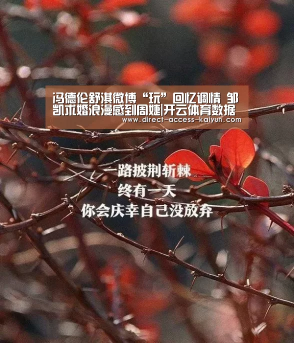 开云体育数据